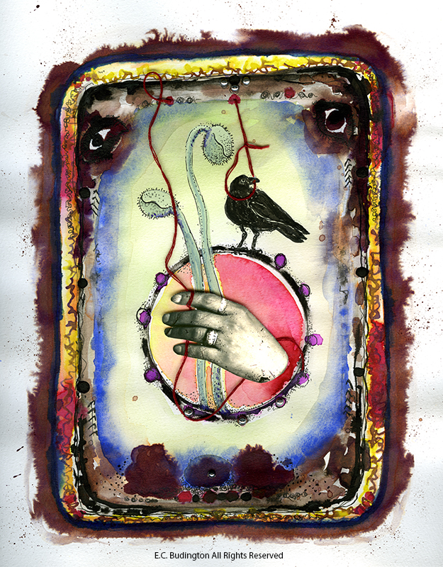 The Raven Takes The Bait